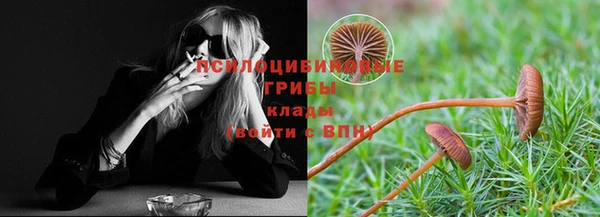 jwh Богородск