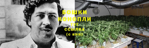 дистиллят марихуана Беломорск
