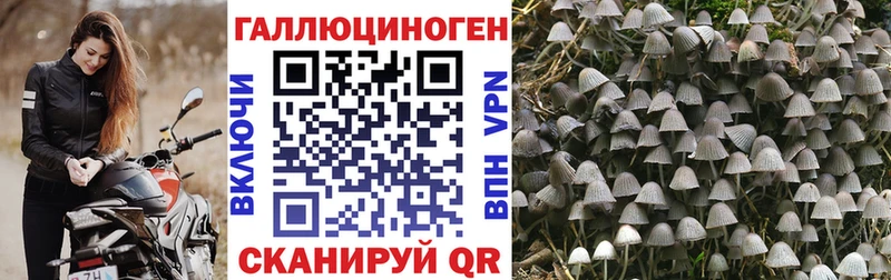 дарк нет формула  Мурино  Галлюциногенные грибы мицелий 